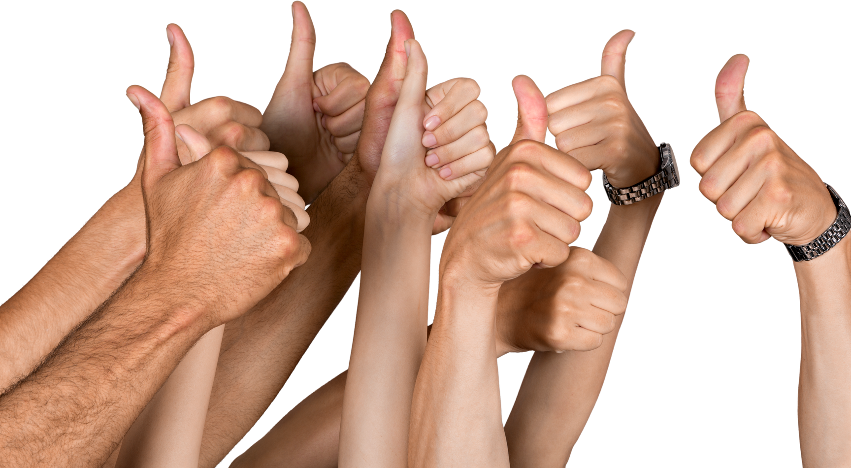 The Supply Shelf - How to order